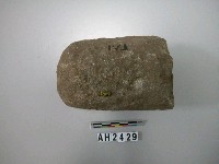 藏品(石杵)的圖片